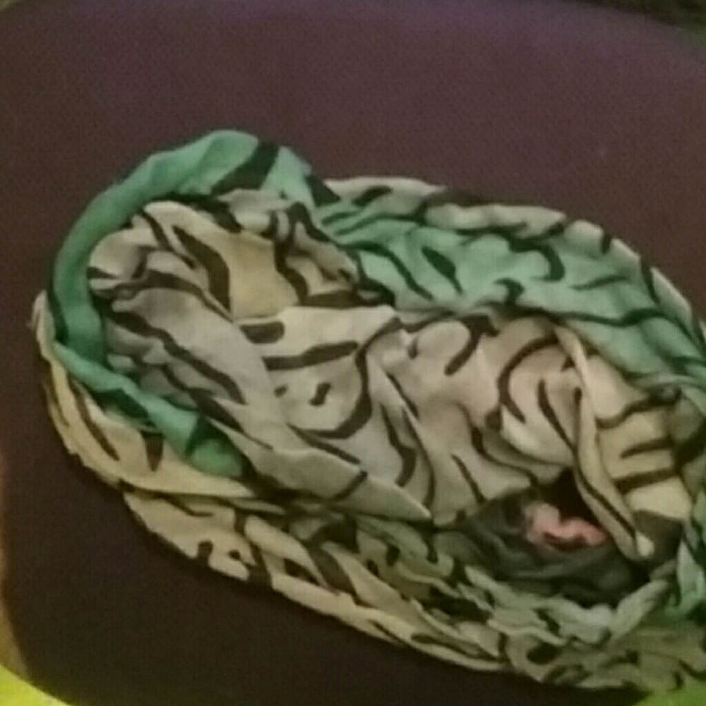 Multicolerd zebra print scarf